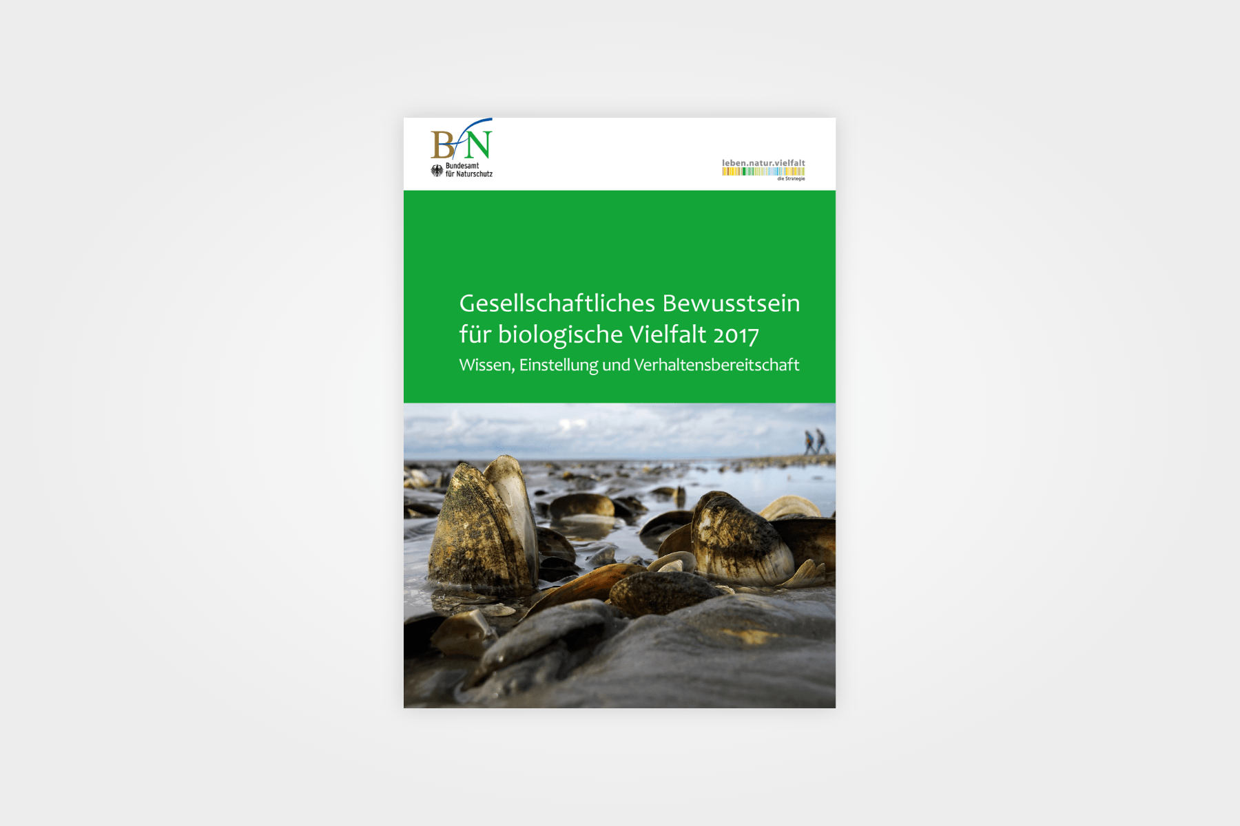 Social Awareness of Biological Diversity (2017)