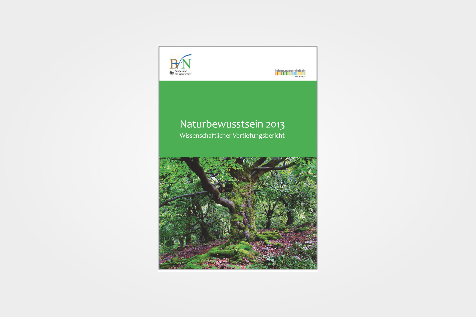 Naturbewusstsein 2015 - Wissenschaftlicher Vertiefungsbericht