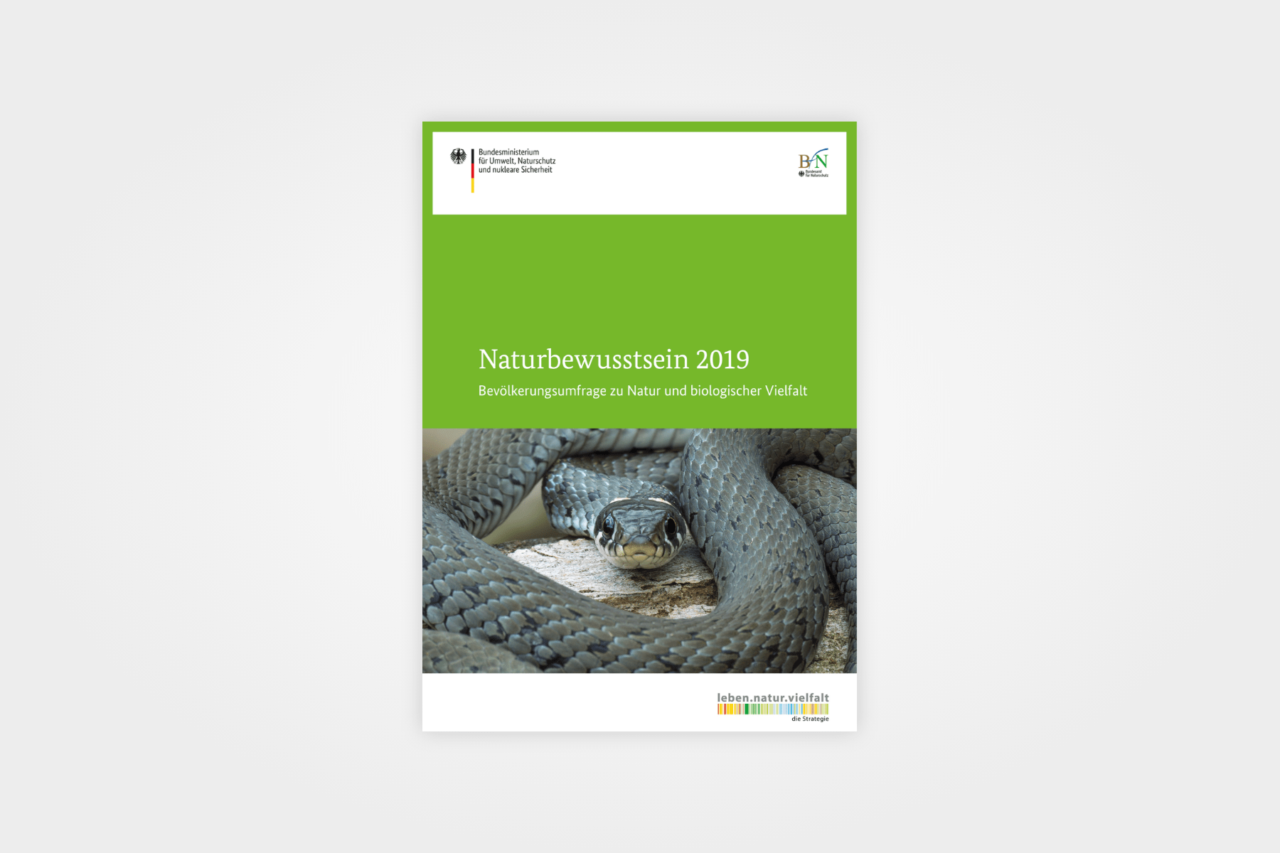 Nature Awareness Study (2019)