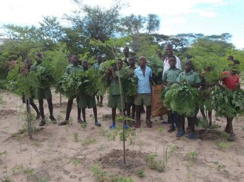 Kariba REDD+ Forest Protection