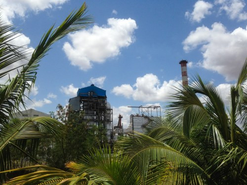 Renewable Energy from Biomass