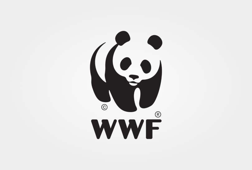 Case Study: WWF (World Wide Fund For Nature)