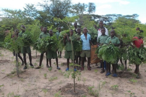 Kariba REDD+ Forest Protectio